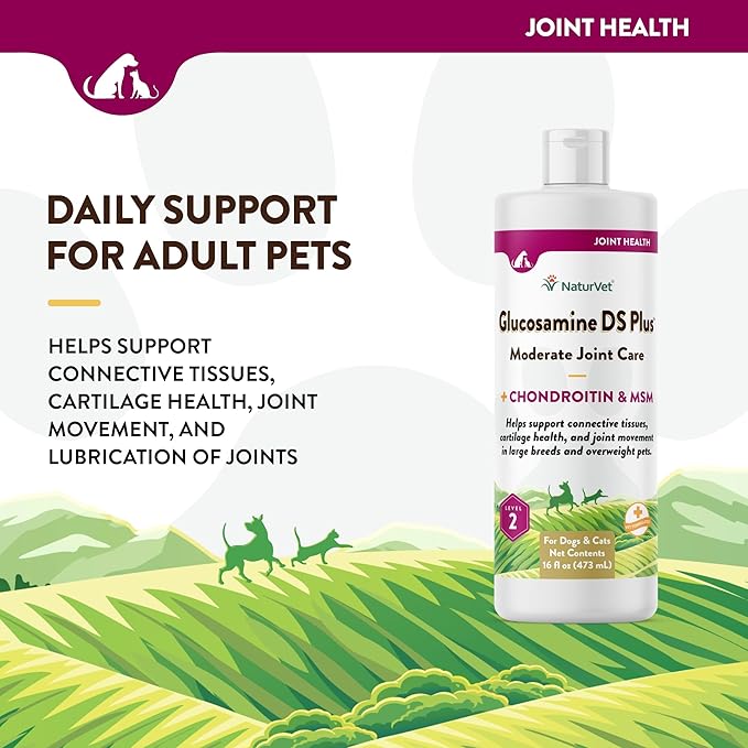 NaturVet Glucosamine DS Plus Hip & Joint Support Liquid Pet Supplement  Level 2 Moderate Care for Dogs & Cats  Includes Glucosamine, MSM, Chondroitin  16 Oz