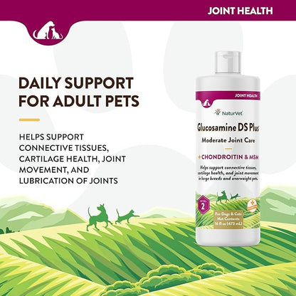 NaturVet Glucosamine DS Plus Hip & Joint Support Liquid Pet Supplement  Level 2 Moderate Care for Dogs & Cats  Includes Glucosamine, MSM, Chondroitin  16 Oz