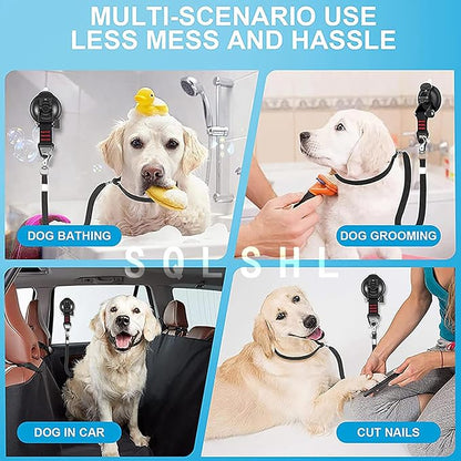 Dog Grooming Kit Puppy Dog Nail Trimmers Small Breed Cat Clippers Undercoat Rake for Dogs Grooming Tools Suction Cup Hooks Pet Grooming Loop Noose (Box)