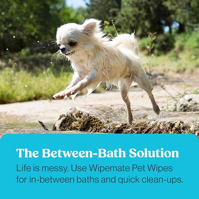 Bulk 4-Pack Travel Dog & Cat Pet Wipes for Small/Medium Pets Cleans Pet Paws Ears Fur Butt & Anal Gland No-Rinse Solution Gentle Deodorizing & Hypoallergenic - Unscented 120 ct