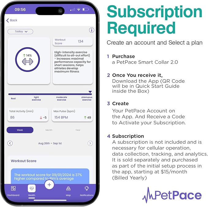AI Health Monitor & GPS Tracker for Dogs | Track Heart Rate, Pain, Anxiety & Stress | Vet Backed, Near Real-Time Alerts & Monitoring | Subscription Required | PetPace Smart Collar 2.0 (Small)
