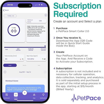 AI Health Monitor & GPS Tracker for Dogs | Track Heart Rate, Pain, Anxiety & Stress | Vet Backed, Near Real-Time Alerts & Monitoring | Subscription Required | PetPace Smart Collar 2.0 (Small)