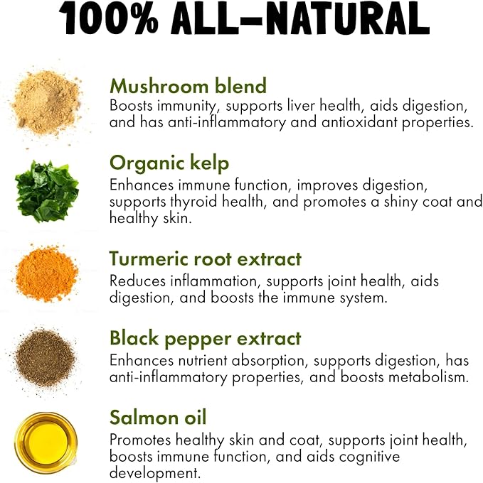 LEGITPET Turmeric Curcumin Hip & Joint Supplement for Dogs  Supports Mobility, Comfort & Overall Wellness  with Collagen & BioPerine  30 Chews