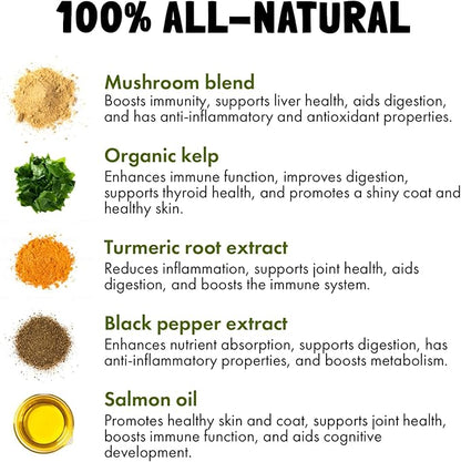 LEGITPET Turmeric Curcumin Hip & Joint Supplement for Dogs  Supports Mobility, Comfort & Overall Wellness  with Collagen & BioPerine  30 Chews