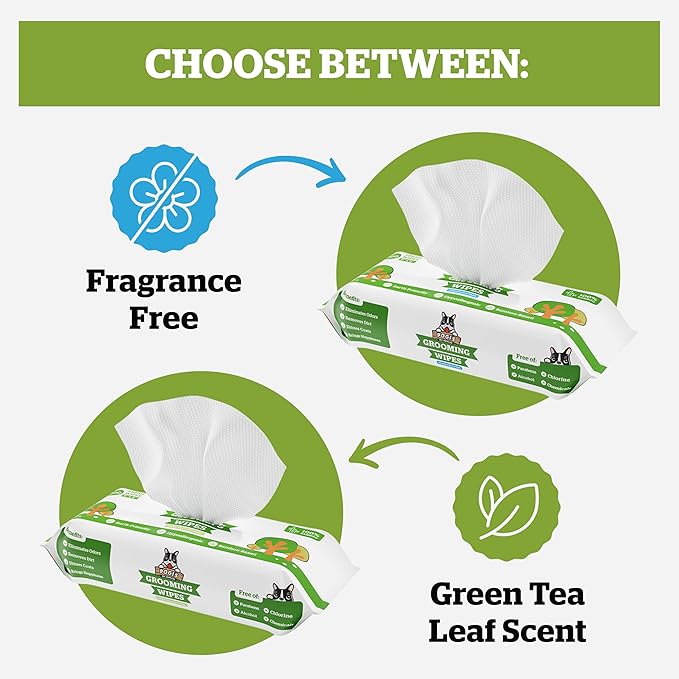 Pogi_ Dog Grooming Wipes  Hypoallergenic Pet Wipes for Paws, Body & Butt  Cleaning & Hydrating, Green Tea Scent, 100-Count