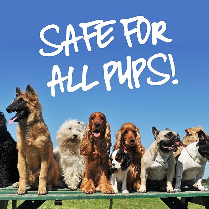 Pup Oils Sick Pup Essential Oil for Dogs - Soothes Upset Stomachs & Vomiting - Organic Calming Oils - Probiotics & Digestive Enzymes for Pet Gut Health - Dog Stomach Relief Probiotic Supplement - 1 oz