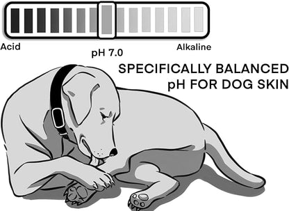 Dog Wipes - Extra Thick and Large Plant-Based Hypoallergenic Grooming Wipes for Dogs, Fragrance-Free, 60-Count - Perfect for Paws and Coats - Luxuriously Moist and Pet Cleaning Wipes