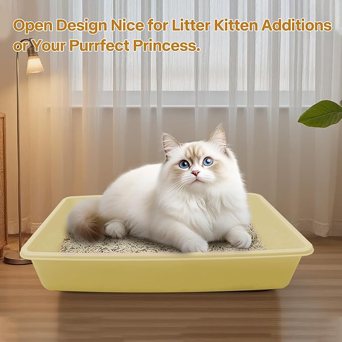 PAWISE Small Cat Litter Box, Kitten Litter Box Starter Kit, Low Entry Baby Kitten Training Litter Box with Scoop, Bowls,Cat Mouse Toy and Cat Ball Toy,First Catty Owner Essentials (Yellow)