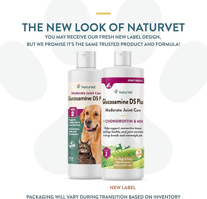NaturVet Glucosamine DS Plus Hip & Joint Support Liquid Pet Supplement  Level 2 Moderate Care for Dogs & Cats  Includes Glucosamine, MSM, Chondroitin  16 Oz