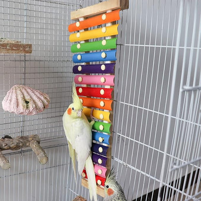 Dnoifne Large Colorful Bird Xylophone Toy, Suspensible Funny Xylophone Toy with 15 Metal Keys, Cage Accessories for Chicken Chick Birds Parrots Parakeets Cockatiels Budgies Love Birds