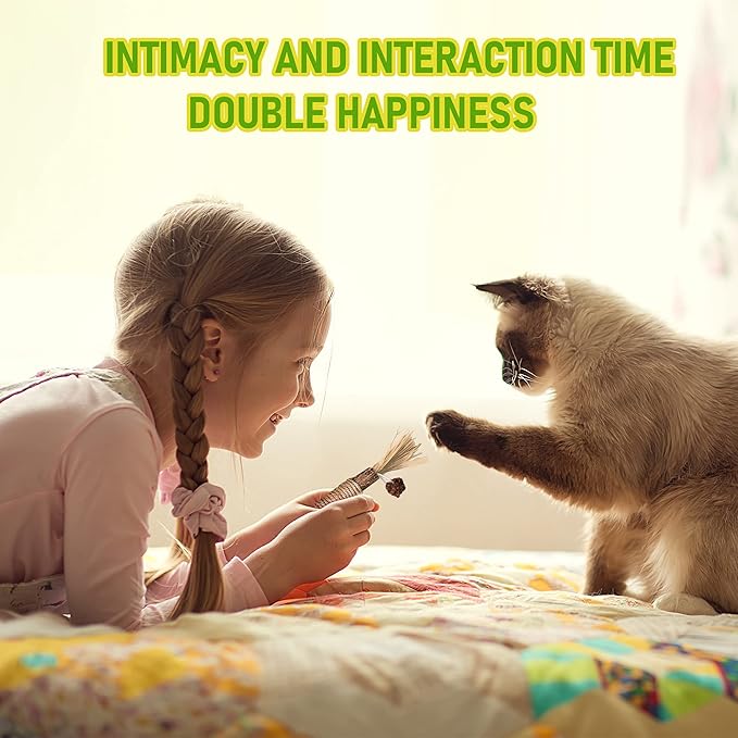 BAWAN Catnip Toys, Silvervine for Cats: Cute Kitten Toys for Indoor Interactive Play, Teething Chew Toys for Aggressive Chewers, Dental Toy Sticks (5PCS)