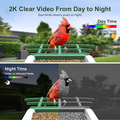 Smart Bird Feeder with Camera: Solar Powered Birdhouse with AI Recognition, Wireless Bird House with Camera for Outdoor, Unique Birthday Gifts for Mom Dad