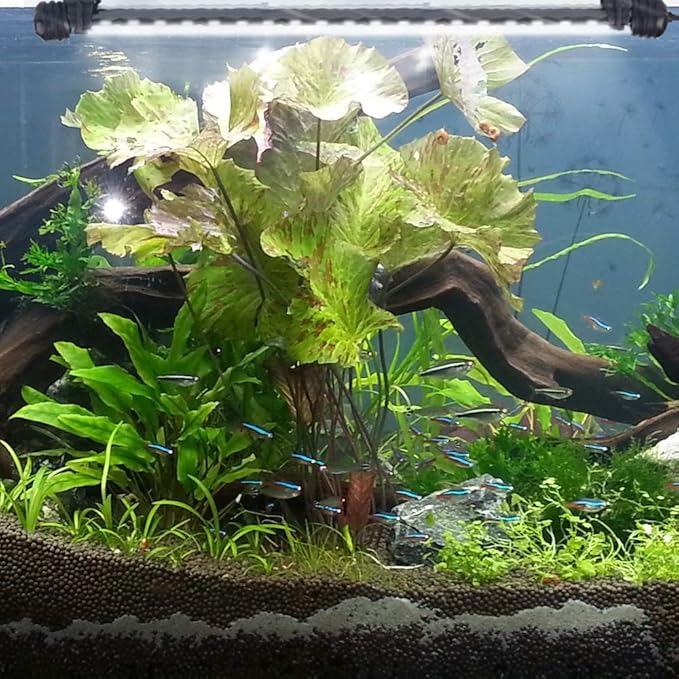 LED Aquarium Light, Fish Tank Lights Underwater Crystal Glass Bright IP68 Waterproof Submersible Strip Bar Aquarium Tank Light, White, 15 Inch