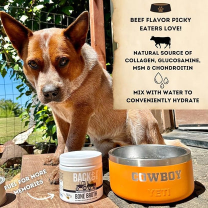 Grass-Fed Beef Bone Broth Powder for Dogs with Probiotics, Chondroitin & Glucosamine – Supports Gut Health, Joint & Immune System – Human Grade Dog Food Toppers for Picky Eaters, 6.4oz