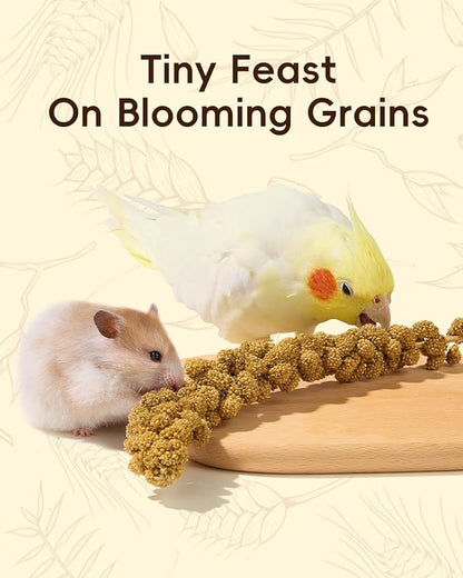 BUCATSTATE Natural Hamster Bedding - Flowers & Herbs & Sprays for Cage Habitat Decor - Treat Cereal Grain for Dwarf Syrian Gerbils, Mice, Rat, Forage, Enrichment (58PCS)