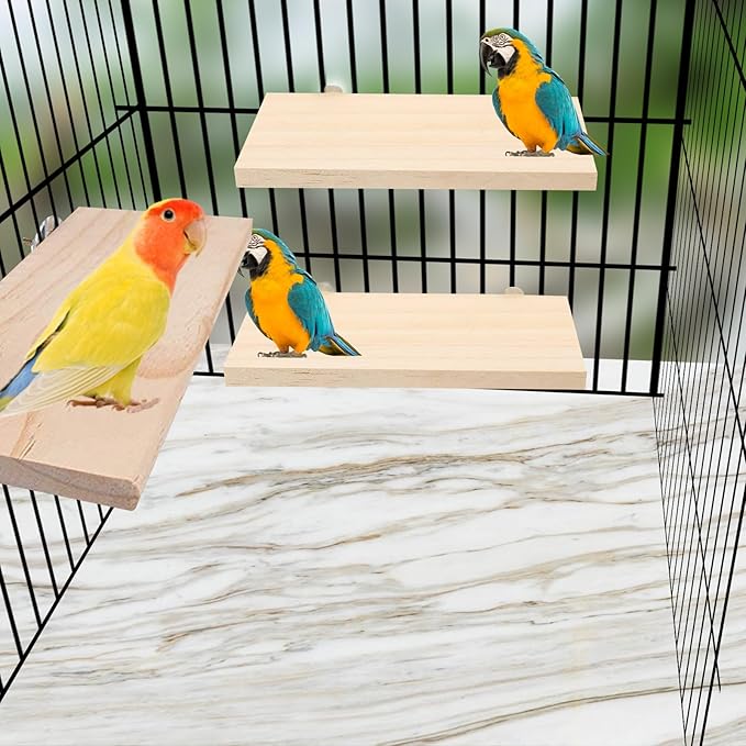 4 Pack Bird Perch Stand 12.4×5.3 Inch Parrot Wood Platform Rectangle Wood Perch Stand Board Shelf for Parrots Birds Budgie Parakeet Cockatiel Hamster Chinchilla Gerbil