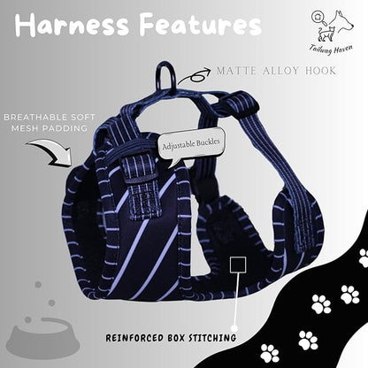 Dog Harness and Leash Set, No Pull Adjustable Soft Padded Vest, No Choke (Large, White Stripe)