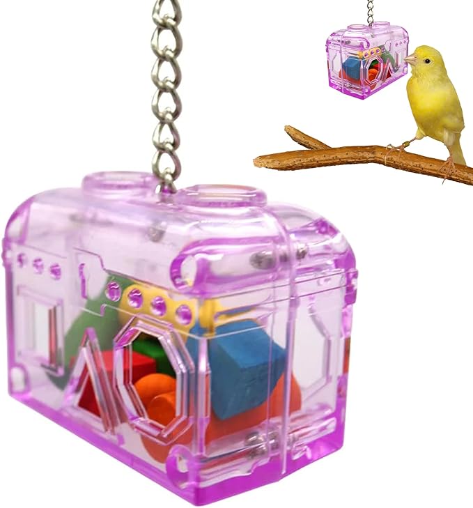 Sweet Feet and Beak Large or Small Treasure Chest - Perfect Bird Cage Toy Colorful, Safe, Easy to Install - Washable, Refillable, Non-Toxic, Foraging Box - Cage Accessories