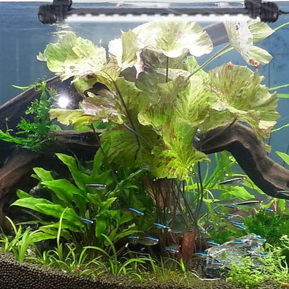 LED Aquarium Light, White Fish Tank Light Underwater Submersible Bright IP68 Waterproof Crystal Glass LEDs Lights Strip Lighting Bar with ON/Off Button, 11 Inch