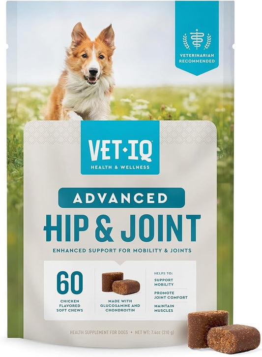 VetIQ Advanced Hip & Joint Chews For Dogs, 60 Count, Chicken Flavored Supplements Made with Glucosamine, Omega 3_, Chondroitin, MSM & Green Lipped Mussel, Increases Mobility & Maintains Muscles