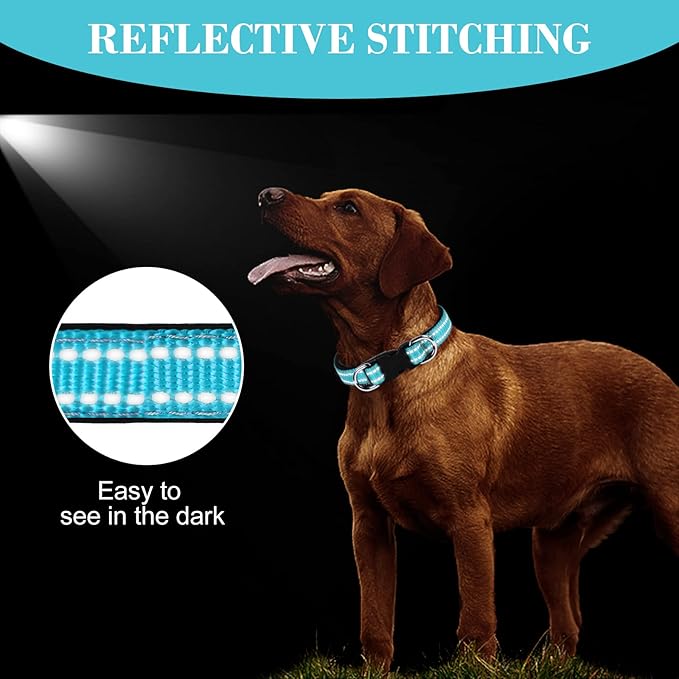 AUAUY Reflective Nylon Dog Collars, Adjustable Classic Pet Collars with Soft Neoprene Padding, Double Security Dual D-Ring and Quick Release Buckle for Small Puppy, Medium and Large Dogs (Lake Blue-S)