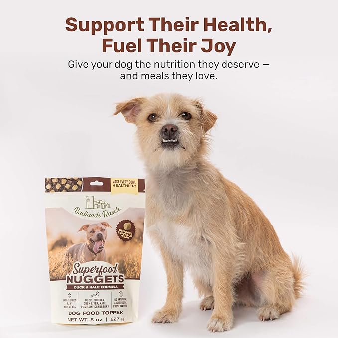 BADLANDS RANCH Superfood Nuggets- Premium, Freeze-Dried raw Dog Food Topper or Treat. Powerful Nutrient-Dense Ingredients. No Artificial additives. Duck and Kale Formula 8oz - 4pk Bundle