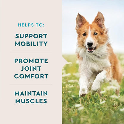 VetIQ Advanced Hip & Joint Chews For Dogs, 60 Count, Chicken Flavored Supplements Made with Glucosamine, Omega 3_, Chondroitin, MSM & Green Lipped Mussel, Increases Mobility & Maintains Muscles