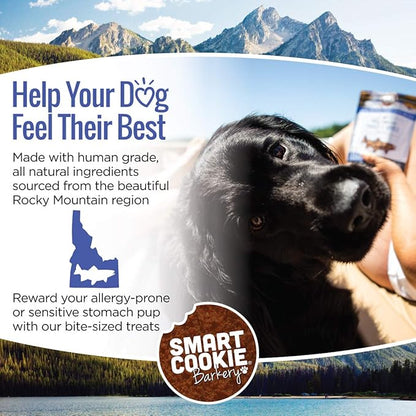 Smart Cookie All Natural Soft Dog Treats - Trout & Apple - Healthy Dog Treats for Allergies, Sensitive Stomachs - Chewy, Grain Free, Human-Grade, Made in The USA - 5oz Bag
