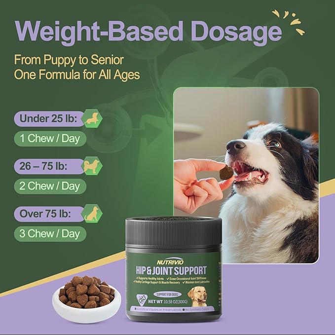 Hip and Joint Supplement for Dogs Chews with Glucosamine Chondroitin for Dog, Turmeric, Omega-3 and Collagen Chews for Dogs – Joint Pain Relief – Large & Small Breed - 300g