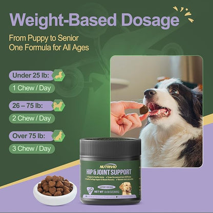 Hip and Joint Supplement for Dogs Chews with Glucosamine Chondroitin for Dog, Turmeric, Omega-3 and Collagen Chews for Dogs – Joint Pain Relief – Large & Small Breed - 300g