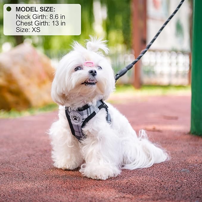 BEAUTYZOO Small Dog Harness and Leash Set,Step in No Chock No Pull Soft Mesh Dog Harnesses Reflective for Extra-Small/Small Medium Puppy Dogs and Cats, Plaid Dog Vest Harness for XS S Pets, Grey XS