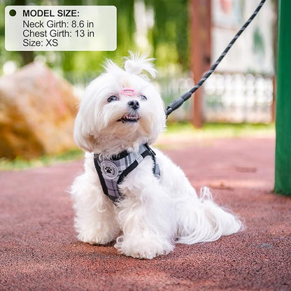 BEAUTYZOO Small Dog Harness and Leash Set,Step in No Chock No Pull Soft Mesh Dog Harnesses Reflective for Extra-Small/Small Medium Puppy Dogs and Cats, Plaid Dog Vest Harness for XS S Pets, Grey XS