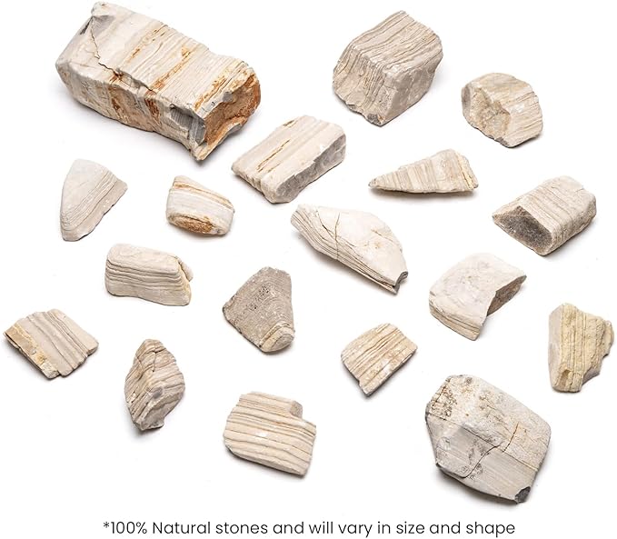 SubstrateSource Natural Stone for Aquarium, Terrarium, Paludarium, Reptile Enclosures - Set of Decorative Rocks for Landcapes, Aquascaping, Fish Tank Decor (Gobi Desert Stone, 20 Pounds, 2-8)