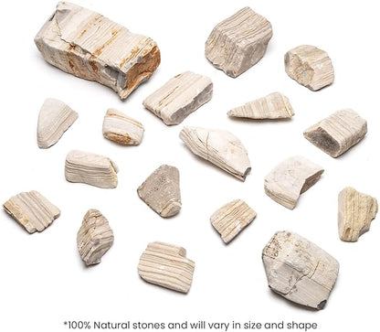 SubstrateSource Natural Stone for Aquarium, Terrarium, Paludarium, Reptile Enclosures - Set of Decorative Rocks for Landcapes, Aquascaping, Fish Tank Decor (Gobi Desert Stone, 10 Pounds, 2-6)