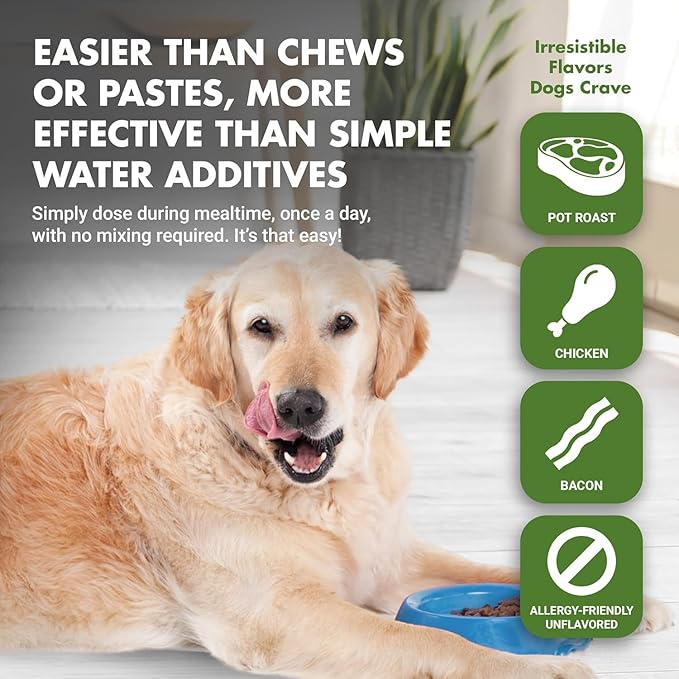 LIQUID-VET K9 Hip & Joint Formula, Chicken Flavor, 16 oz (Pack of 2)