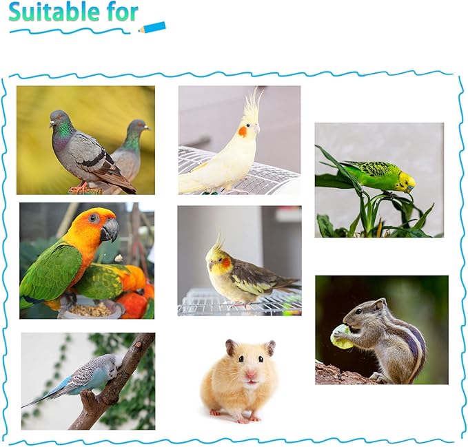 kathson Parrot Feeding Dish Cups,Stainless Steel Bird Food Water Bowl Parakeet Feeder Birds Cage Ball Toys with Clamp Holder for Cockatiel Macaw Budgies Small Animal Chinchilla (7 Pcs)