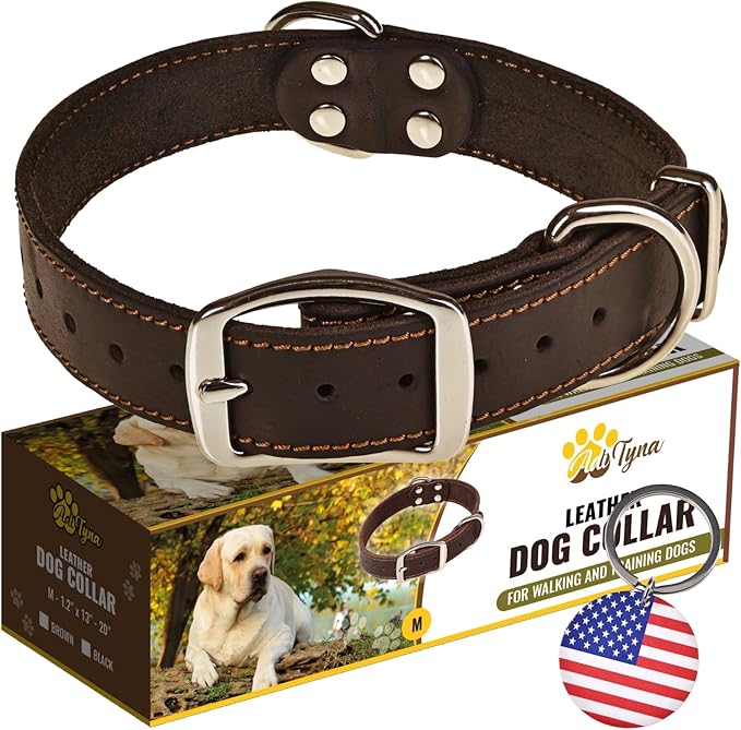 ADITYNA Heavy Duty Black Leather Dog Collar - Soft and Strong Dog Collar for Medium Dogs (Medium: Fit 13" - 20" Neck, Black)