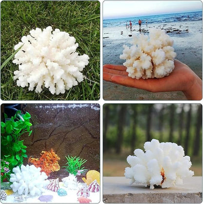 PINVNBY Artificial Coral Ornament Underwater Sea Plants Decorations Craft Resin Aquarium Plants for Fish Tank Decor Landscape (White)
