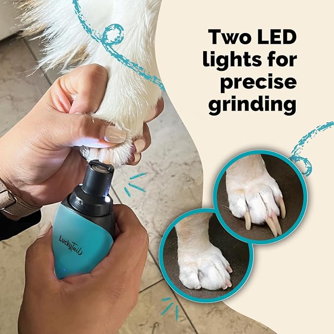 LuckyTail Pet Nail Grinder for Dogs and Cats - Super Quiet and Low Vibration Electric Dog Nail Grinder with 2 LED Lights - USB Rechargeable and Cordless - 2 Speeds - Small to Large Pets - Teal