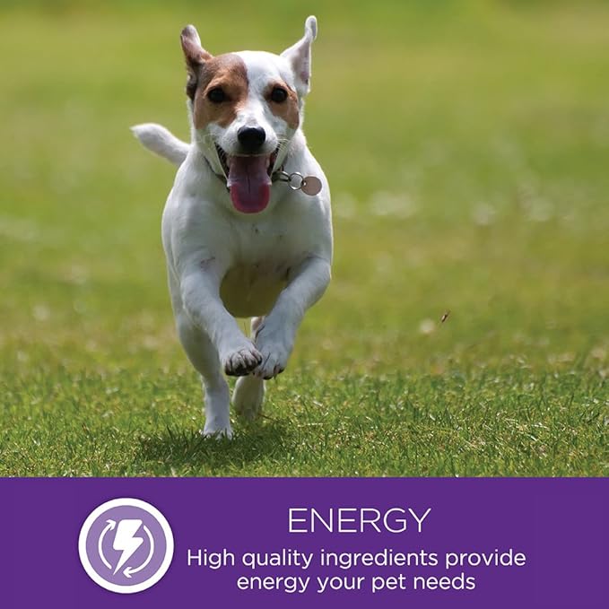 Wellness Natural Pet Food Petite Entrees Casserole Grain Free Natural Wet Small Breed Dog Food, Tender Chicken, Green Beans & Carrots, 3-Ounce Cup (Pack of 24)