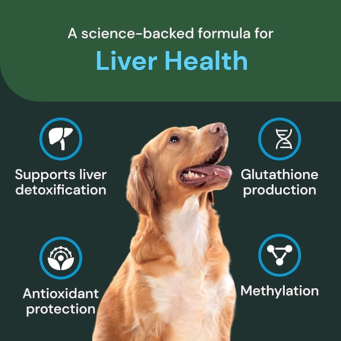 VetriScience Veterinary Strength Liver Health Chews - Canine Liver Care Supplement for Detox Support - Dog Supplement - Supports Immune System - No Fasting Required - 60 Count