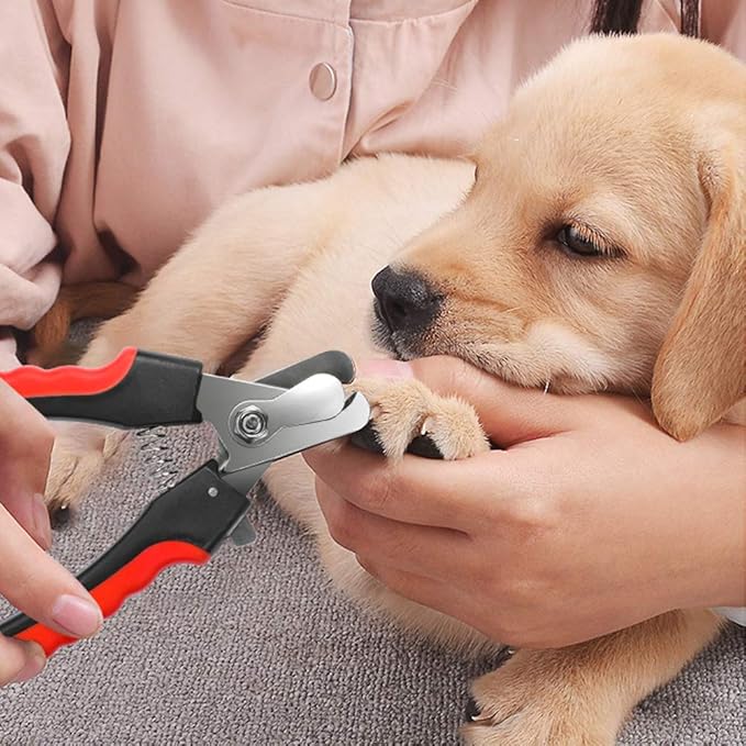 Dog Nails Clippers Trimmer with Safety Guard to Avoid Over-Cutting, Razor Sharp Blades with Bonus Dog Nail File, Cat Claw Clippers with Sturdy Non Slip Handles for Pets Dog Catï¼_ed & Blackï¼