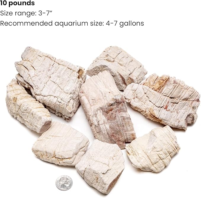 SubstrateSource Natural Stone for Aquarium, Terrarium, Paludarium, Reptile Enclosures - Set of Decorative Rocks for Landcapes, Aquascaping, Fish Tank Decor (Sand Stone, 10 Pounds, 3-7)