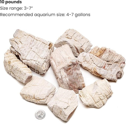 SubstrateSource Natural Stone for Aquarium, Terrarium, Paludarium, Reptile Enclosures - Set of Decorative Rocks for Landcapes, Aquascaping, Fish Tank Decor (Sand Stone, 10 Pounds, 3-7)
