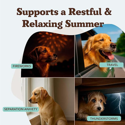 Natural Dog Company Calming Chews for Dogs, Stress & Anxiety Relief Supplement with Chamomile, Valerian Root & Melatonin, Natural Soothing Chews for Travel, Thunder, Fireworks & Separation (90 cnt)