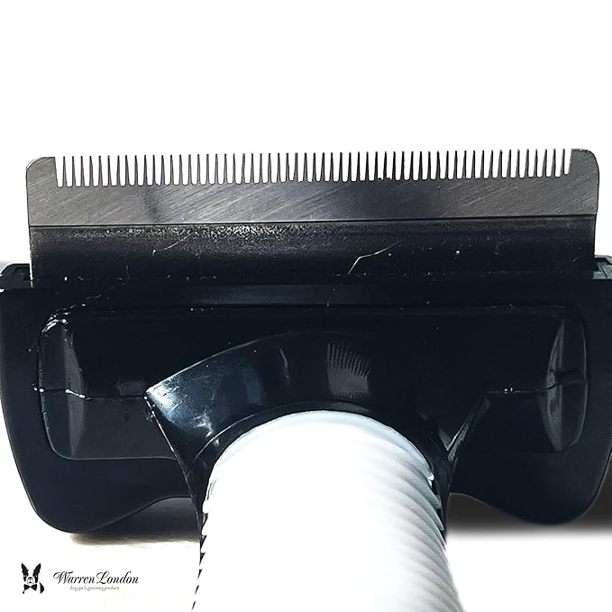Deshedding Dog Brush by Warren London | Stainless Steel Deshedding Tool | Short Hair - Medium