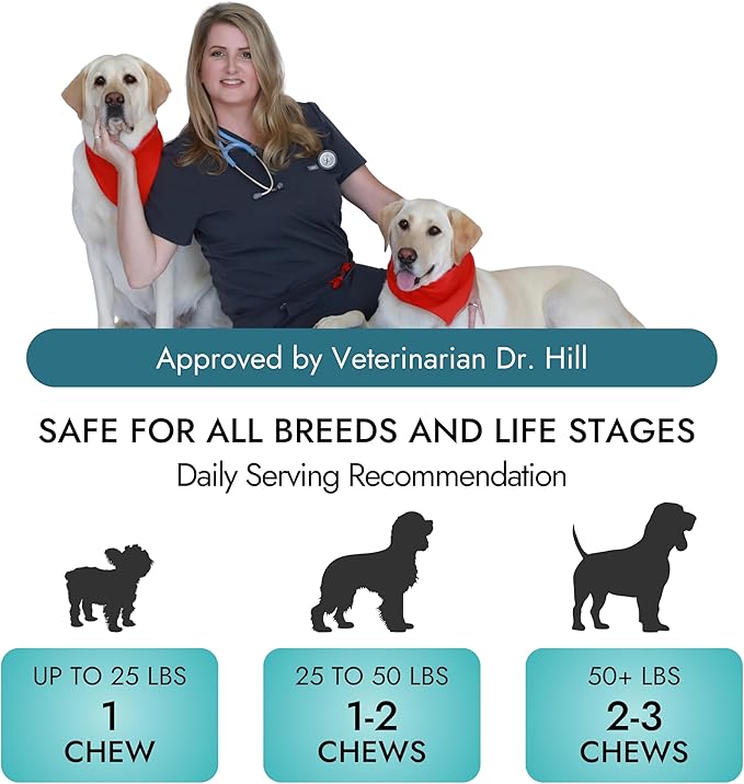 Pet Vet Multi Soft Chews for Dogs (Beef Liver, 60 Chews) – Multivitamins, Probiotics for Digestive Health – Glucosamine, Skin Supplement – Immune Support, Supplements & Vitamins