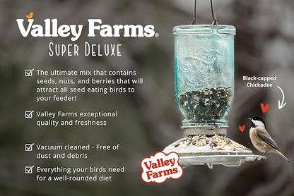 Valley Farms Super Deluxe Wild Bird Food (15 LB) for Outside feeders - 0% fillers - Loads of Sunflower Seed - w/Peanut kernels -Feed More Birds w/Less Seed