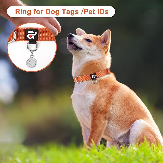 azuza 3 Pack Fall Dog Collars Comfortable and Adjustable Nylon Dog Collars for Medium Dogs, M (14-20inch)ï¼ Ginger Yellow, Rust Orange and Latte Brown