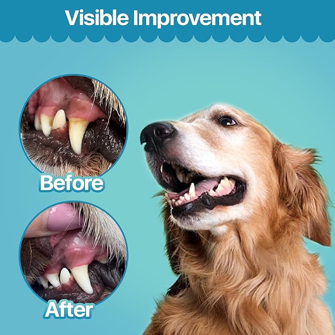 Replenish Dental Wipes for Dogs and Cats - Dog Teeth Cleaning Wipes - Pet Dental Finger Wipes for Dogs – Easy to Use Gentle Pet Dental Wipes - Effective Dog Teeth Cleaner - 50 Count